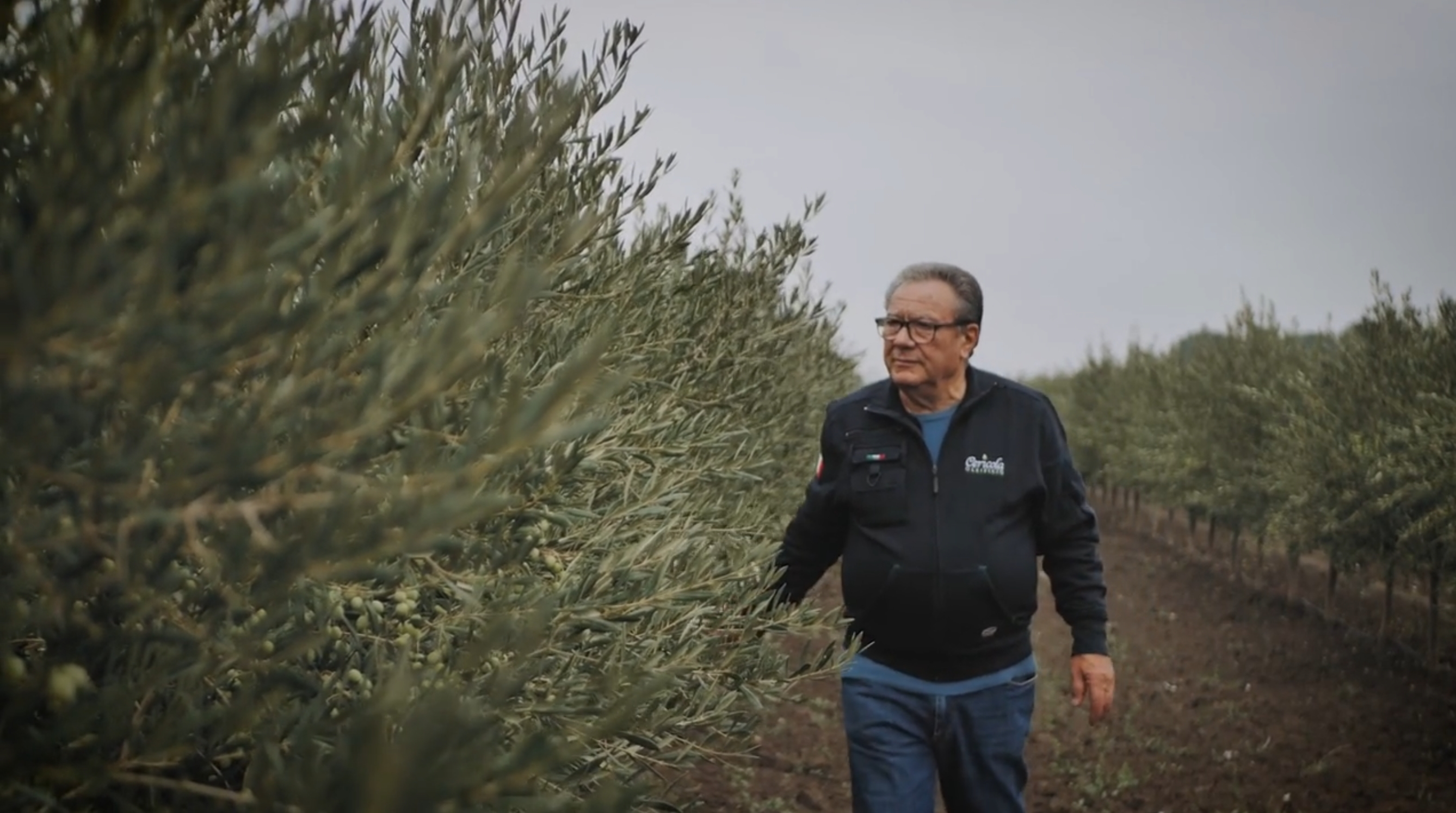 pietro leone cit provvisorio