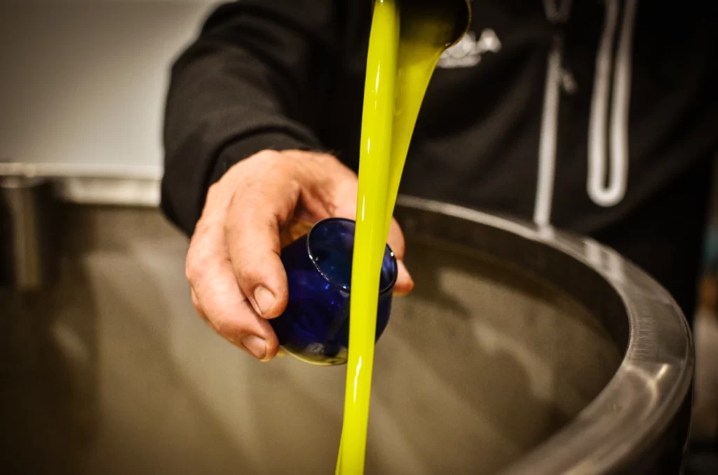 bicchiere scuro per degustazione olio extravergine olive oleificio cericola